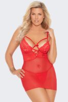 Criss Cross Mesh and Lace Babydoll