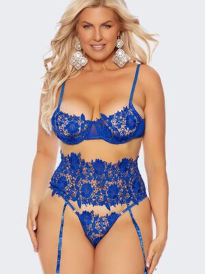 Embroidered Lace and Mesh Bra & Cincher Set