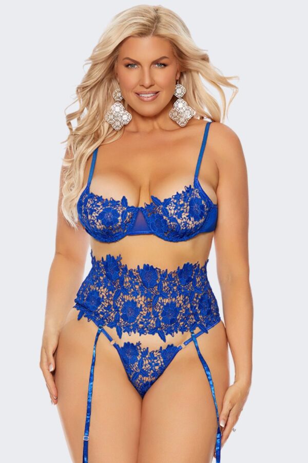 Embroidered Lace and Mesh Bra & Cincher Set