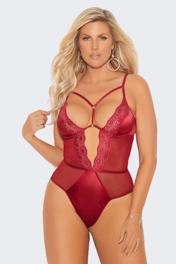 Mesh Lace and Satin Teddy