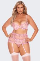 Embroidered Lace and Mesh Bra & Cincher Set