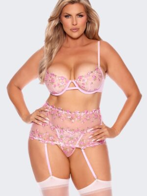 Embroidered Lace and Mesh Bra & Cincher Set